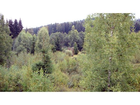 Foto 21
